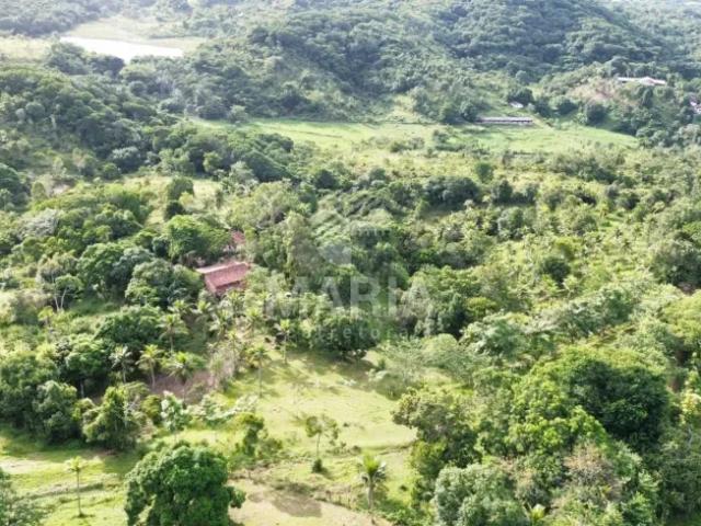 Fazenda venda em Região Geográfica Imediata de Caruaru, Gravata