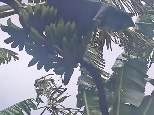 Fazenda venda em Região Geográfica Imediata de Natal, Rio do Fogo