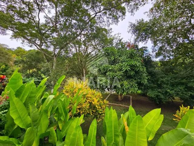 Fazenda venda em Região Geográfica Imediata de Caruaru, Gravata