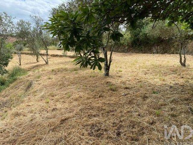 Terreno venda em Castelo Branco, Unhais Da Serra