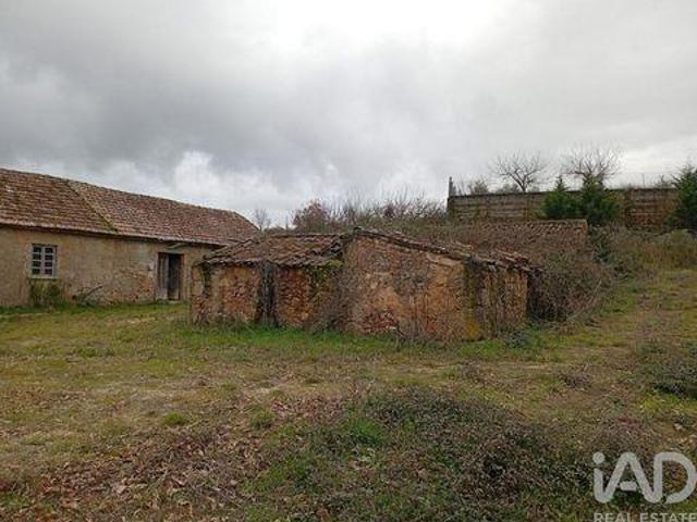 Terreno venda em Castelo Branco, Ferro