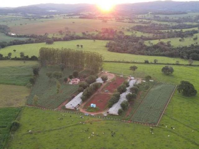 Sítio e chácara venda em Região Geográfica Imediata de Inhumas - Itaberaí - Anicuns, Itaberaí