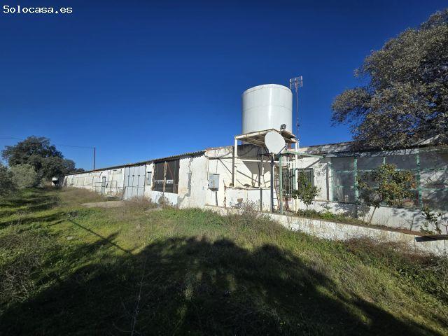 Local Comercial en venta en Dos Torres, Andalucía