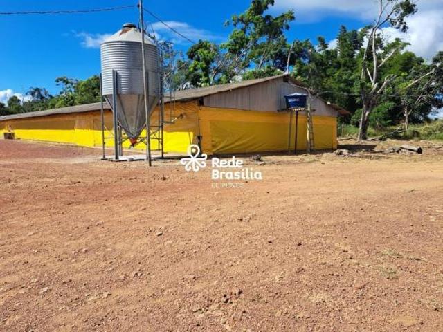 Sítio e chácara venda em Região Geográfica Imediata do Distrito Federal, Região Integrada de Desenvolvimento do Distrito Federal e Entorno