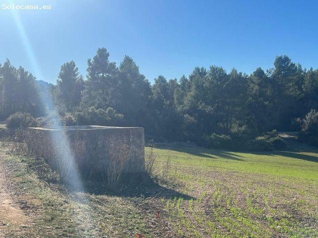 Local Comercial en venta en Terra Alta, Catalunya