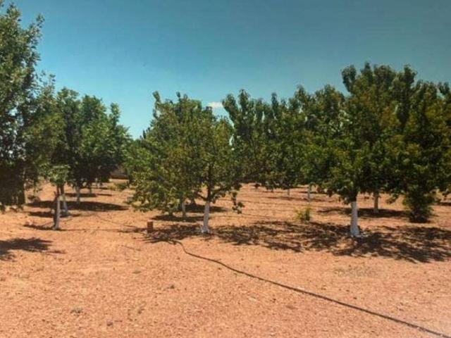 Rancho en venta en Chihuahua