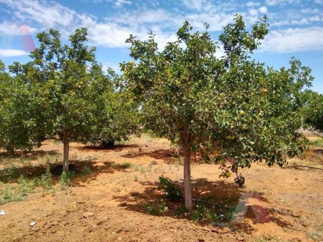 GRANJA EN VENTA EN LA SALIDA A ALDAMA CHIHUAHUA