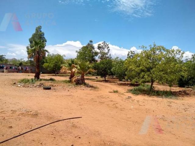 GRANJA EN VENTA EN LA SALIDA A ALDAMA CHIHUAHUA