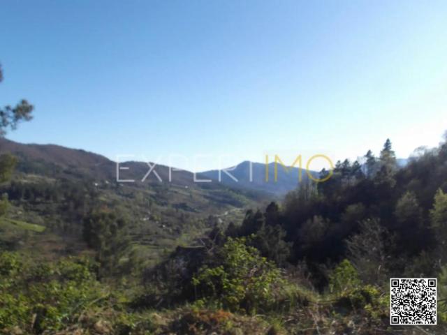 Terreno venda em Guarda