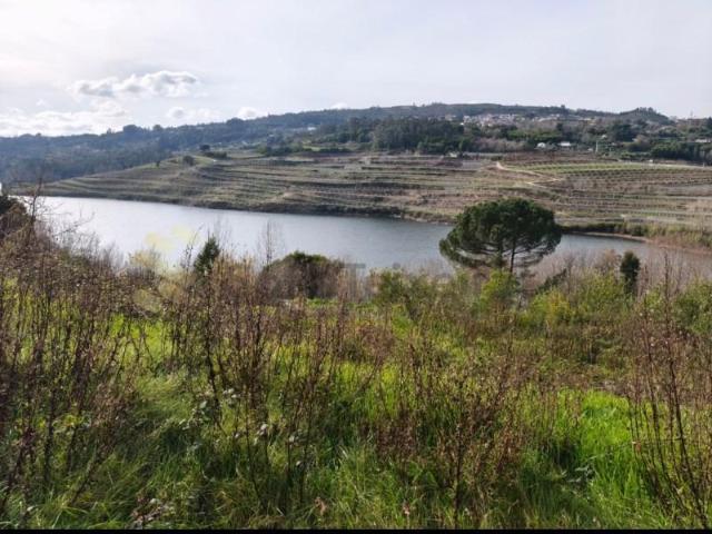 Terreno venda em Favões, São Lourenço Do Douro