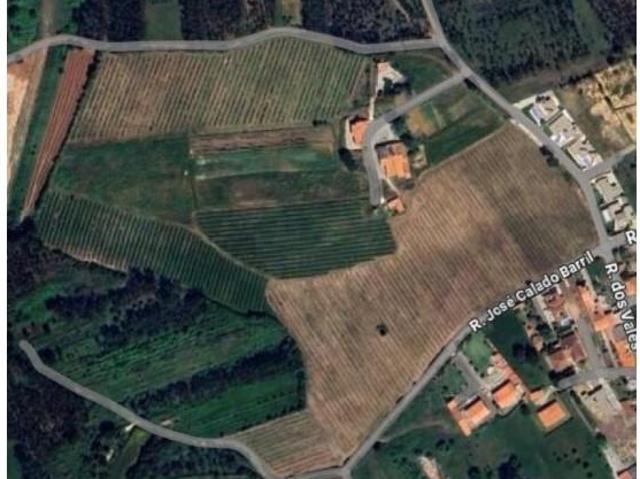 Terreno venda em Pederneira, Valado Dos Frades