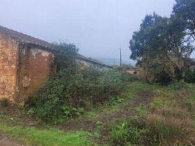 Terreno venda em São Teotónio, Odemira