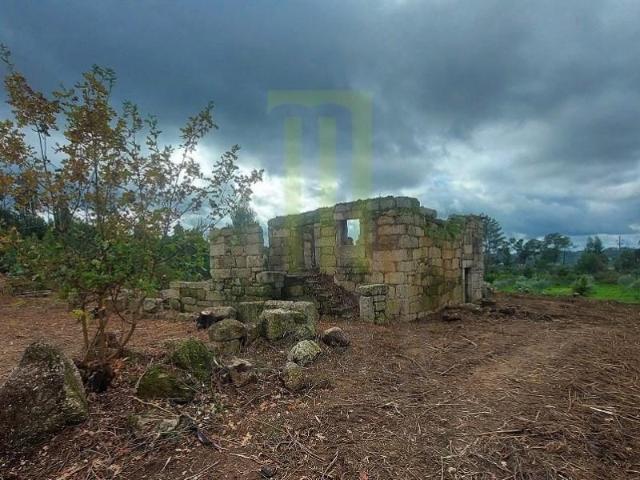 Terreno venda em Oliveira Do Hospital, Coimbra