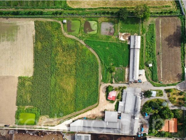 Finca en venta en Turmero, Aragua