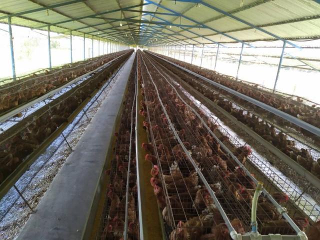 Finca en venta en Valencia