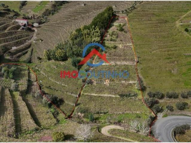 Terreno venda em Santa Marta De Penaguião, Vila Real