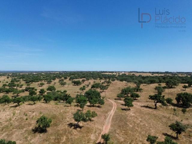 Terreno venda em Santiago Do Cacém, Setúbal