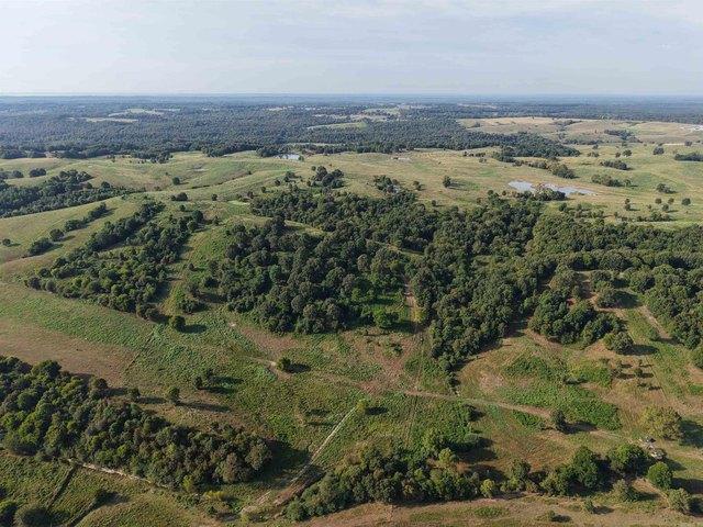 Land for sale in Grannis, Polk County