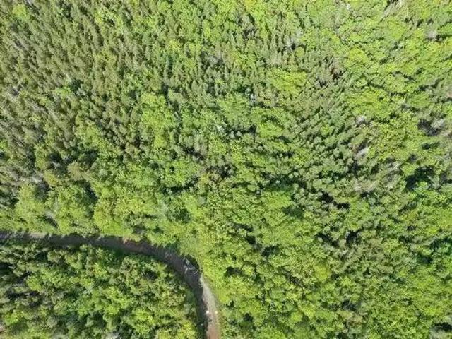 House for sale in Moser River, Nova Scotia
