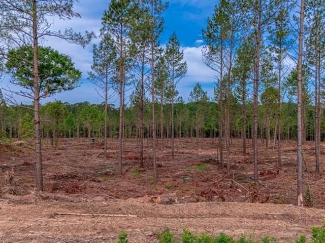 Land for sale in Ark