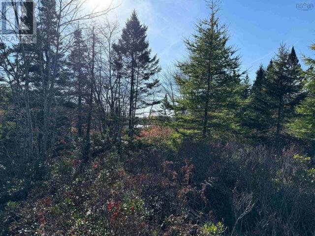 Land for sale in Tusket, Nova Scotia