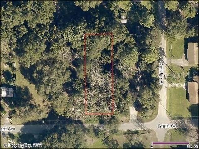Land for sale in Eustis Land for sale in Eustis