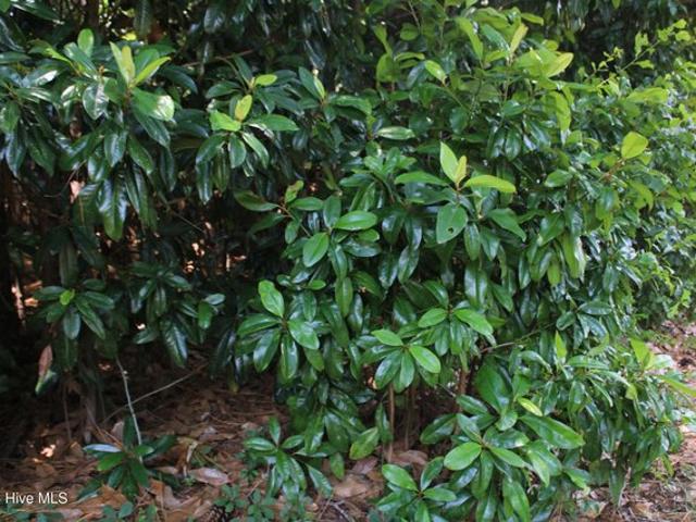 Land for sale in Goldsboro, North Carolina