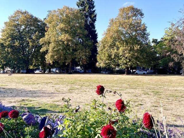 Apartment for rent in Vancouver, British Columbia