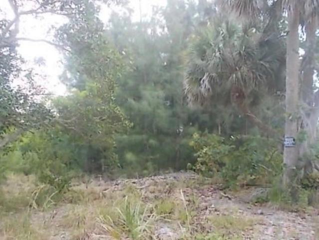 Land for sale in Grant, Florida