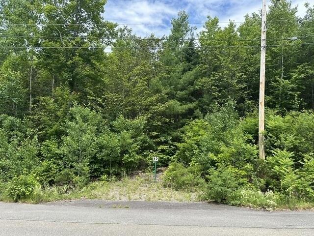 Land for sale in Orono, Penobscot County