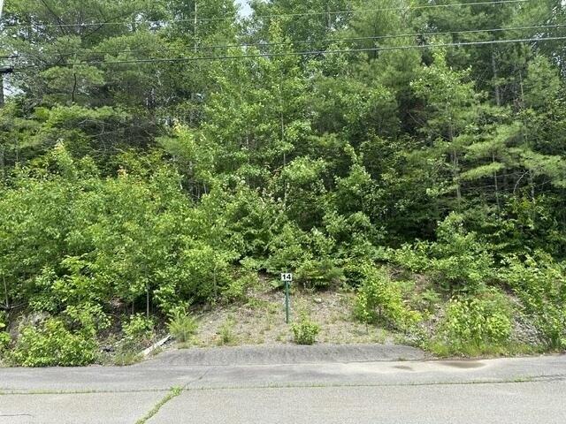 Land for sale in Orono, Penobscot County