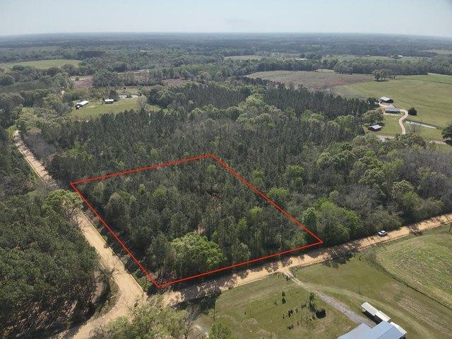 Land for sale in Geneva, Alabama