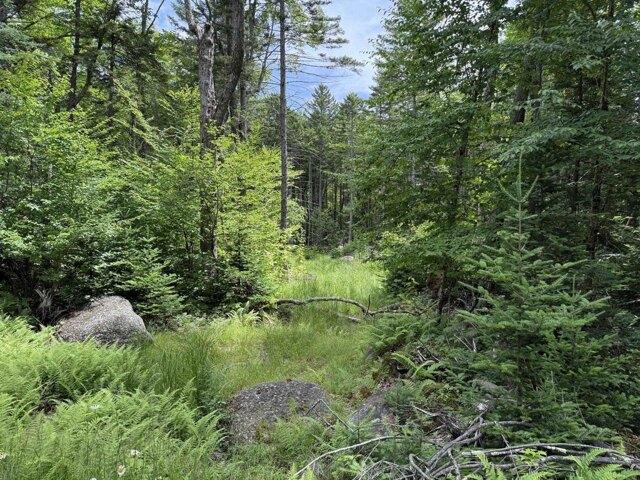 Land for sale in Washington, Sullivan County