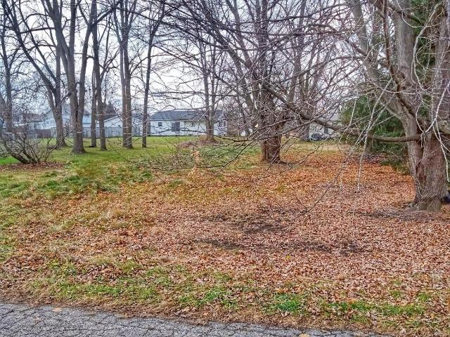 Land for sale in Laingsburg, Michigan