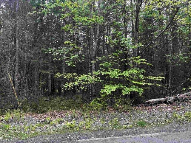 Land for sale in New Hampshire