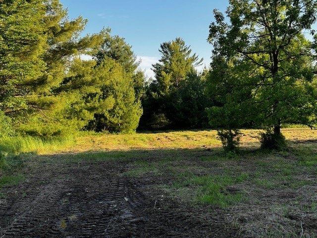 Land for sale in Neillsville, Wisconsin