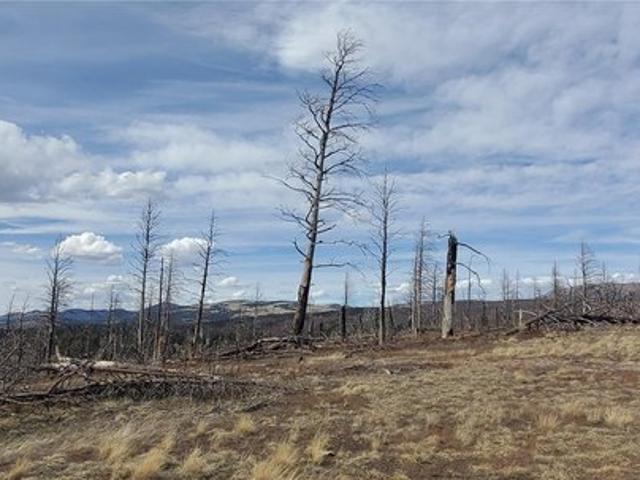 Land for sale in Fort Garland, Colorado
