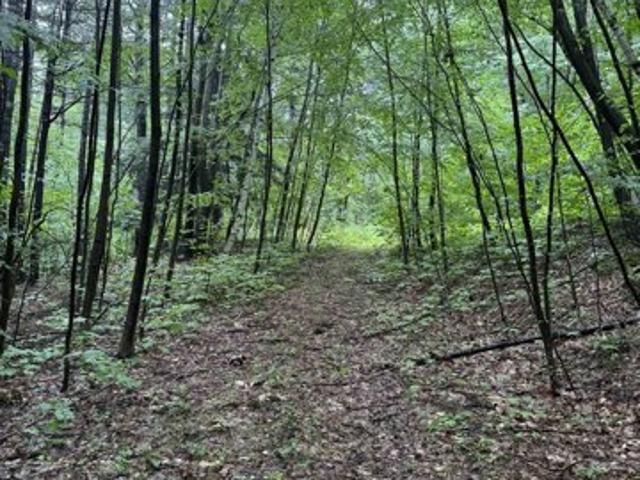 Land for sale in Pownal