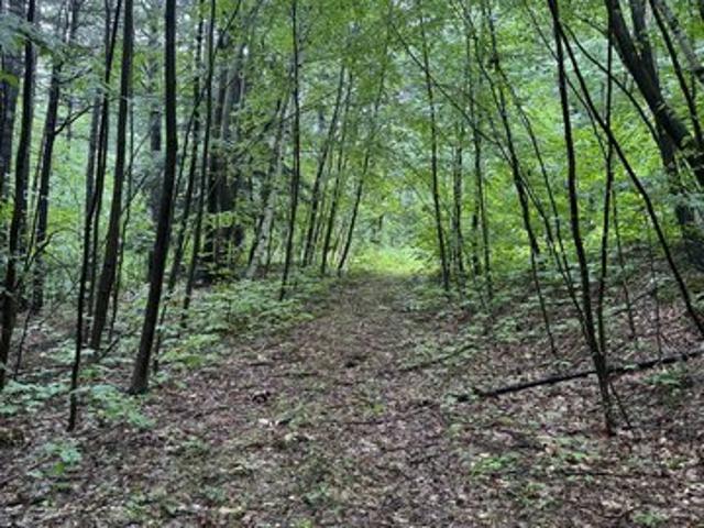 Land for sale in Pownal