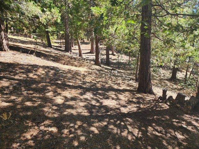 Land for sale in Cedar Glen, California