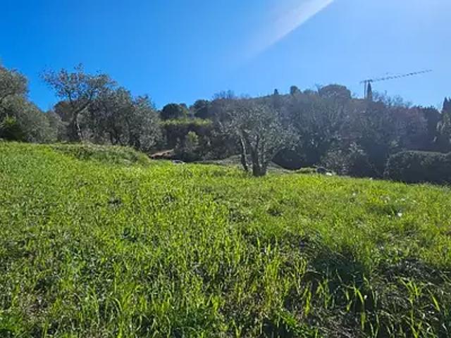 Terrain vente à Grasse