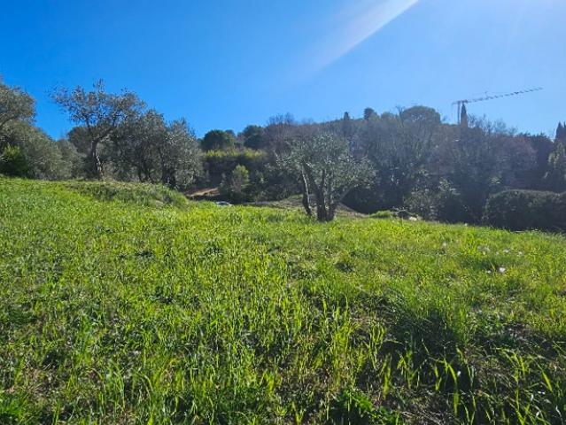 Terrain vente à Grasse