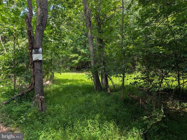 Land for sale in Berkeley Springs, West Virginia