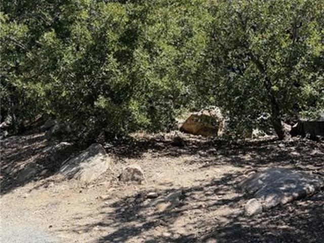 Land for sale in Cedar Glen, California