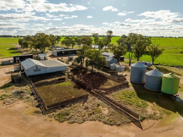 Cottage for sale in West Wyalong, New South Wales