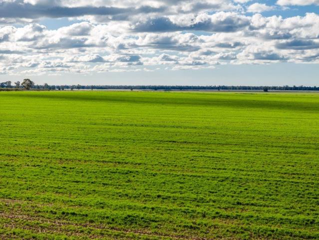 Property for sale in West Wyalong, New South Wales