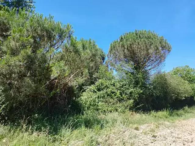 Terrain vente à Gratens, Haute-Garonne