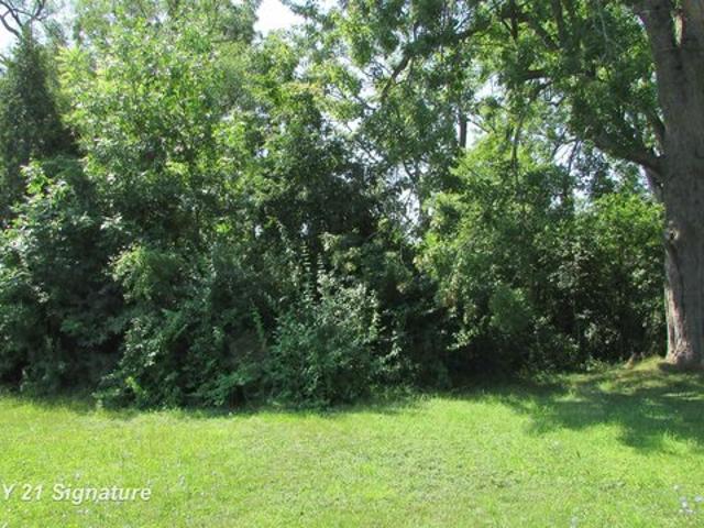 Land for sale in Carrollton, Michigan