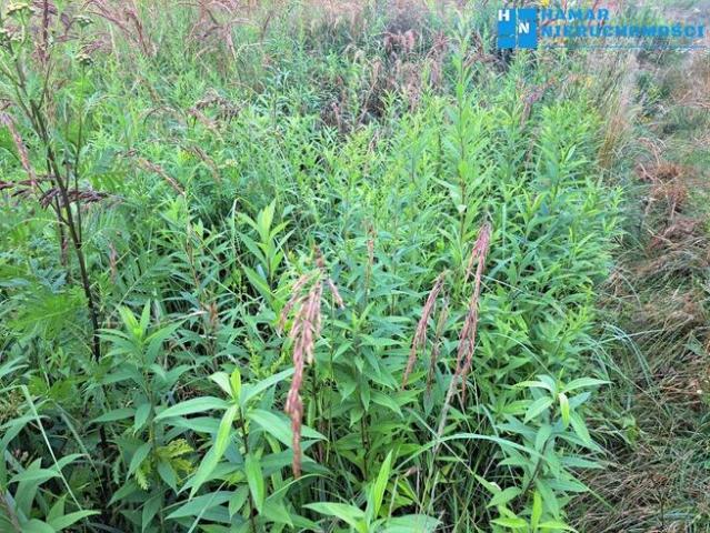 Grunt na sprzedaż w Raszyn, Mazowieckie