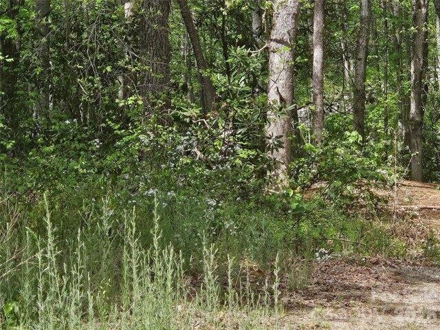Land for sale in Candler, North Carolina